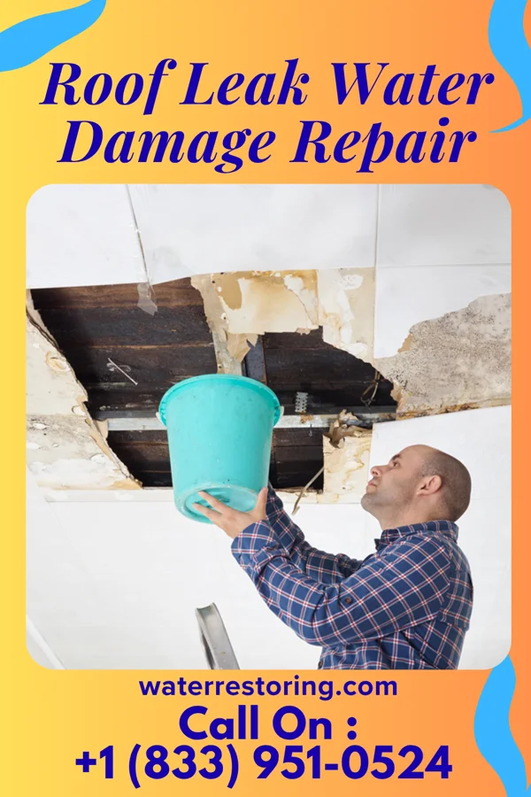 Roof Leak Water Damage Repair in Charles City, IA
