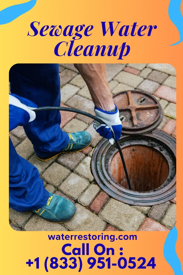 Sewage Water Cleanup in Charles City, IA