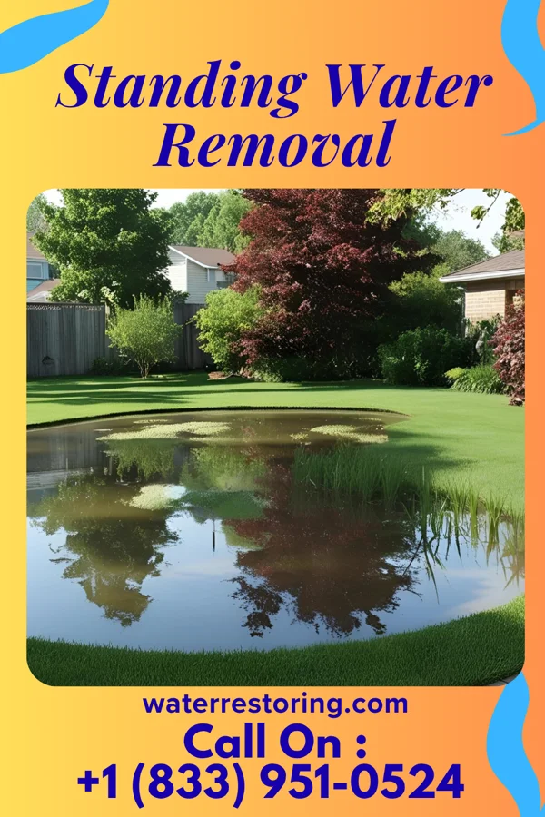 Standing Water Removal in Charles City, IA